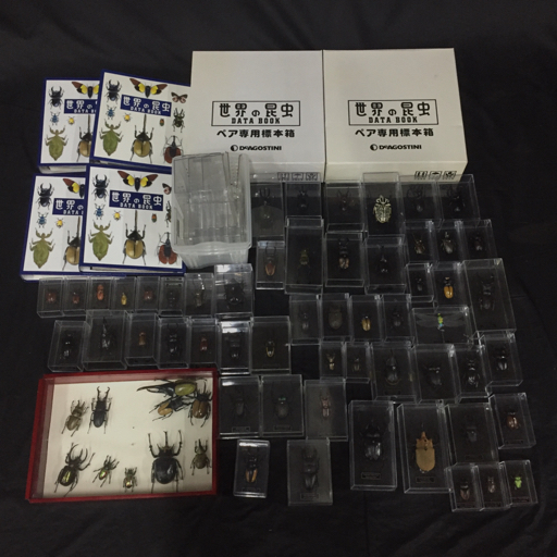 デアゴスティーニ 世界の昆虫 フィギュア 標本箱 データブック