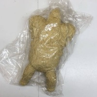 13 怪獣無法地帯 ギガス ガレージキット レジンキット 未組立品 ガレキ ウルトラマン 円谷プロ フィギュア